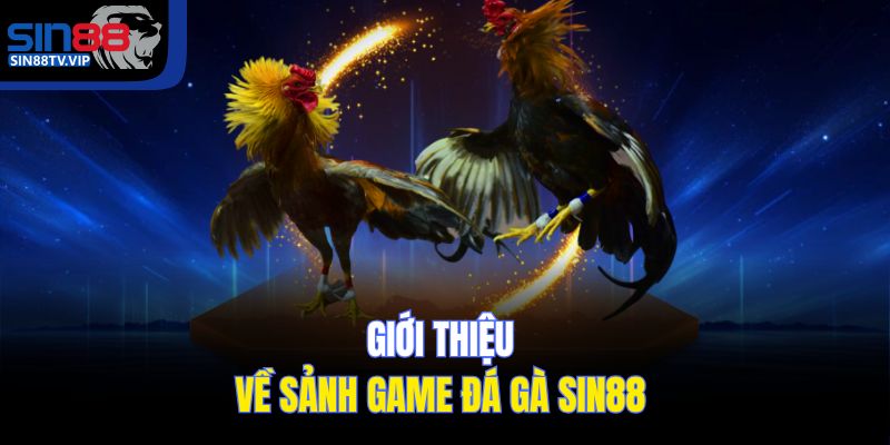 Giới thiệu về sảnh game đá gà Sin88